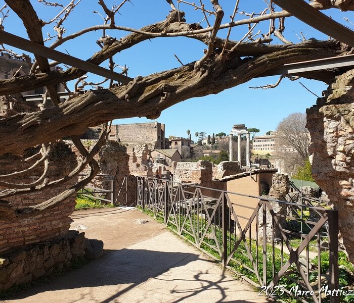 ESTROSFERE: A Stimulating and Enjoyable Journey Through Art and Culture