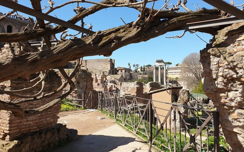 Preserving Our Past: The Cornerstone of a Sustainable Future