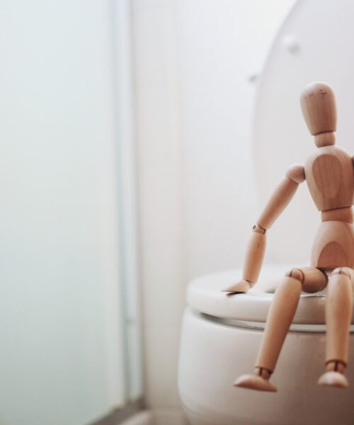 The Unlikely Sanctuary: Finding Peace on Your Porcelain Throne