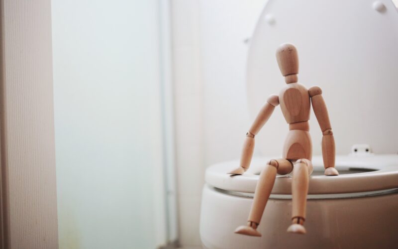 The Unlikely Sanctuary: Finding Peace on Your Porcelain Throne