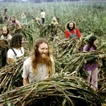 hippy1
