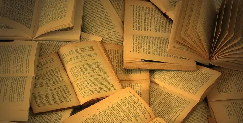 Letteratura di genere vs letteratura ‘seria’: una falsa dicotomia?