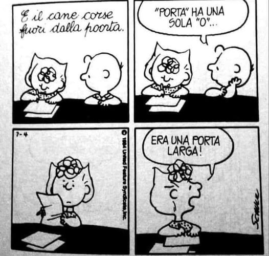 La Logica Paradossale di Sally: Analisi degli Strafalcioni Grammaticali nei Peanuts