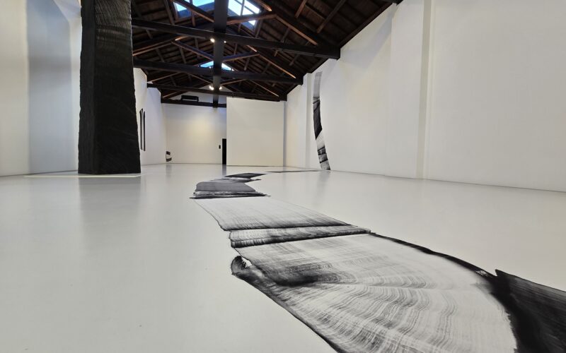 Scoprire Lee Bae a Venezia: Un Viaggio nella Mostra La Maison de la Lune Brûlée
